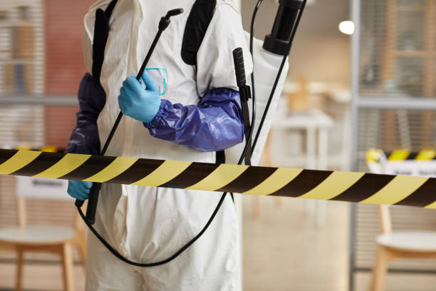 Professional Odor Removal technician working in Cutler, IN